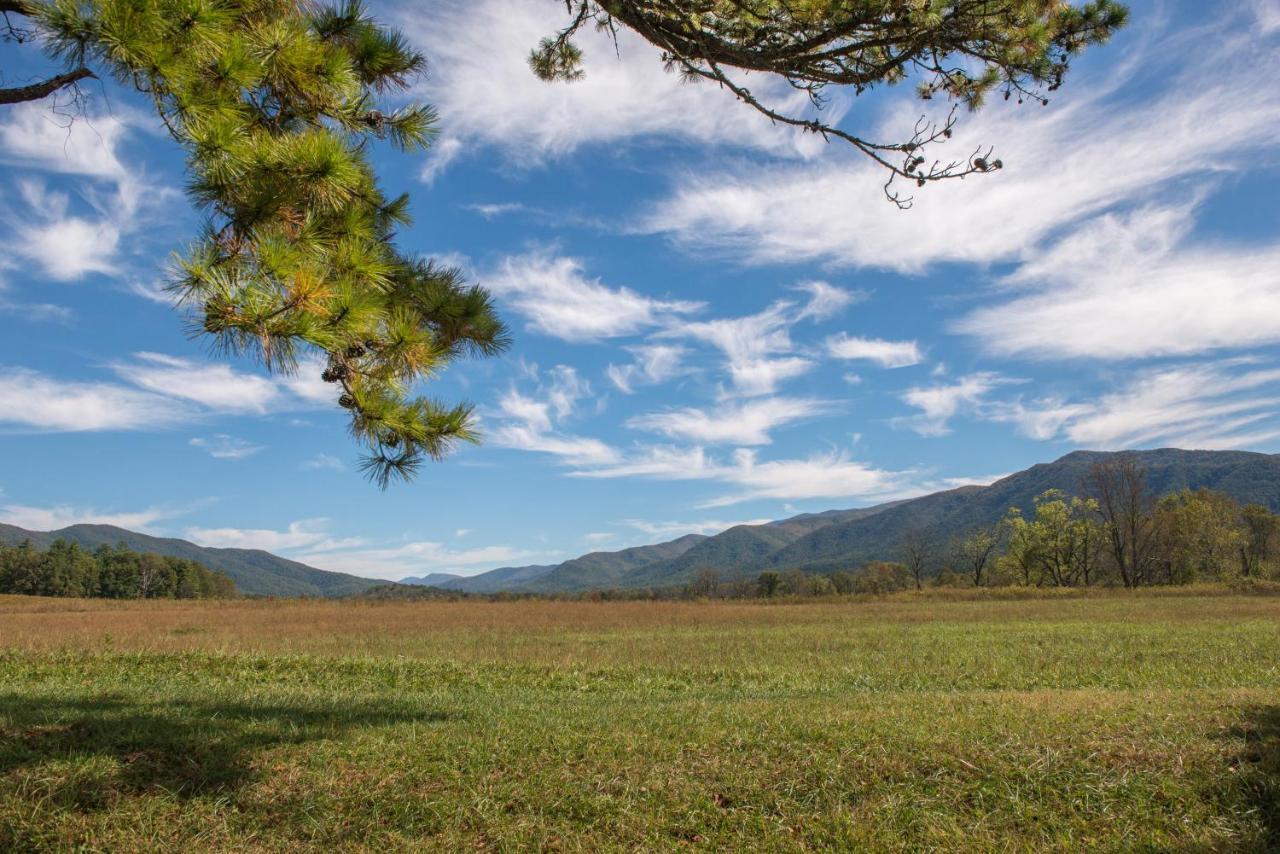 Peaceful Setting Cabin Vila Pigeon Forge Exterior foto